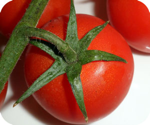 Nightshade Vegetable Tomato